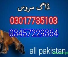 Army dog center okara 03017735103